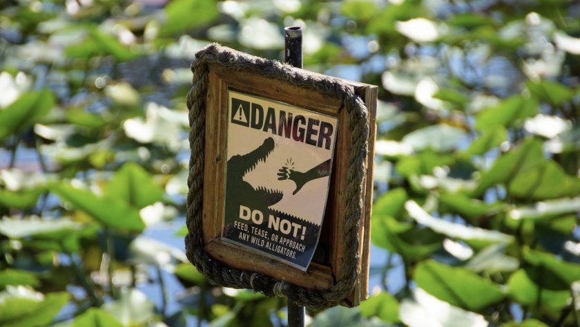 Everglades alligator sign Florida