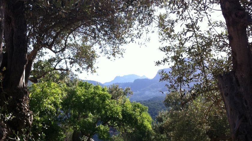 Agroturismo Muleta de Ca S'hereu uitzicht Port de Soller, Mallorca