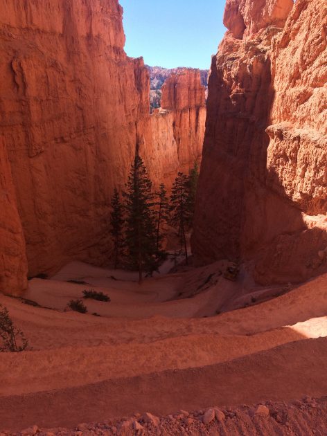 Bryce canyon, Navajo Loop Trail