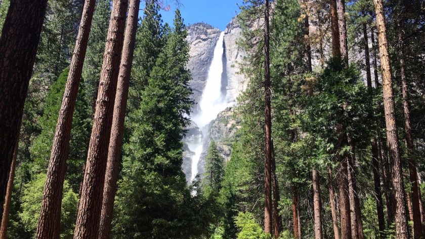 Yosemite Falls in Yosemite, Amerika