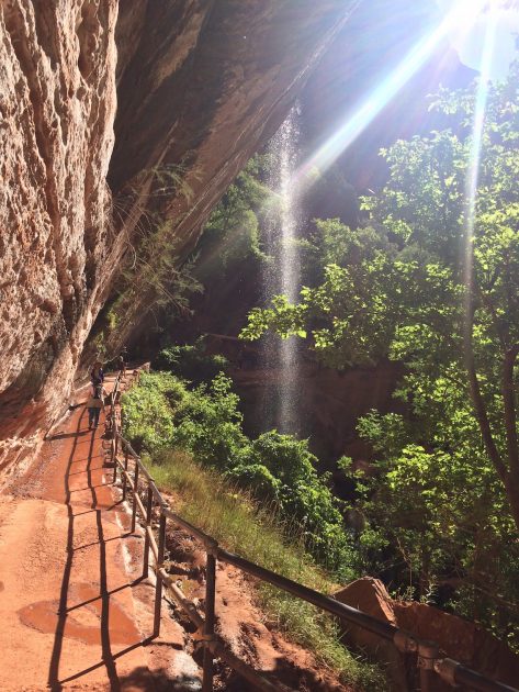 Zion National Park USA - Emerald Pools Trail