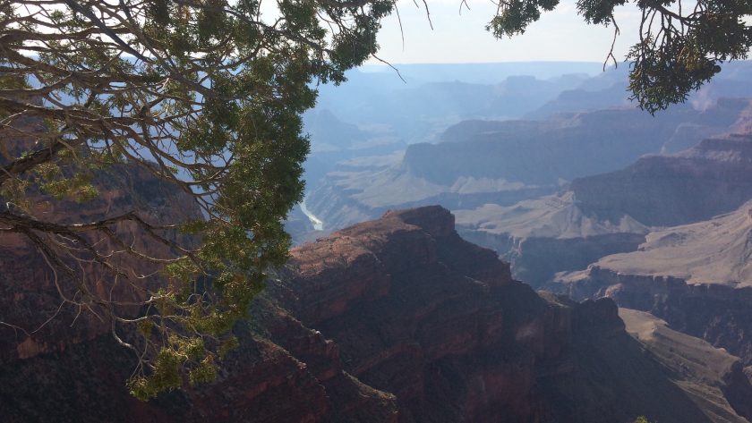 Grand Canyon National Park, Amerika, uitzicht vanaf the Rim Trail