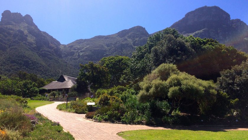 Kaapstad Kirschtenbos Botanical Gardens