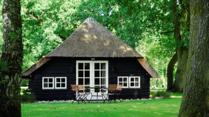 Boshuisje met rieten dak Vierhouten