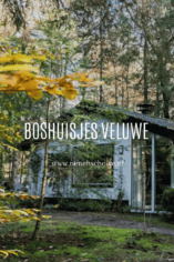 De mooiste boshuisjes op de Veluwe