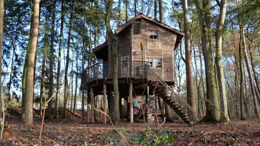 Bijzonder overnachten in Nederland in een boomhut in Drouwenerzand