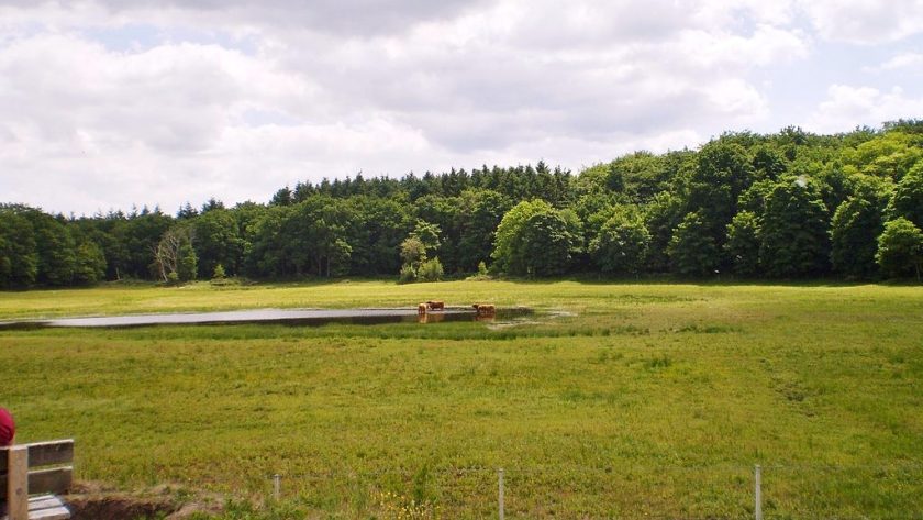 rondje Laarder Wasmeer
