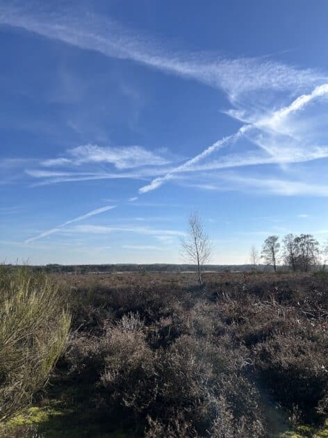 Wandelen rondje Laarder Wasmeer heide en strak blauwe lucht