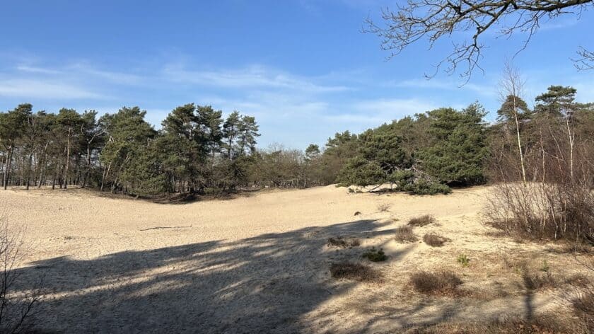 Wandelen rondje Laarder Wasmeer zandverstuiving