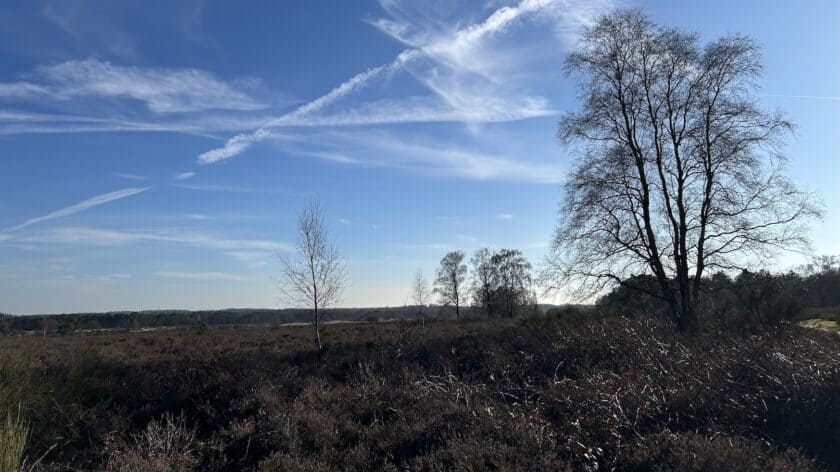 Wandelroute Rondje Laarder Wasmeer heidevelden