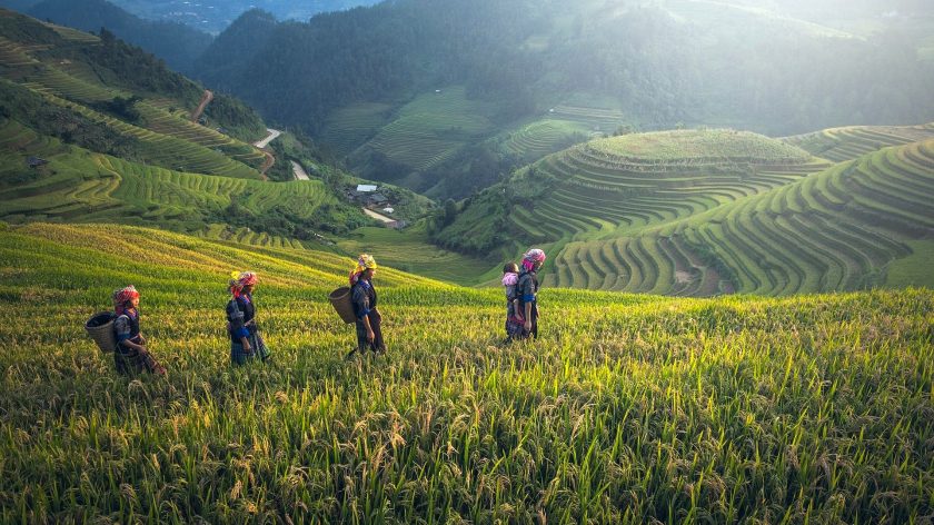 9x leukste reisfilms op Netflix - rijstvelden van Sa Pa Vietnam, Azië