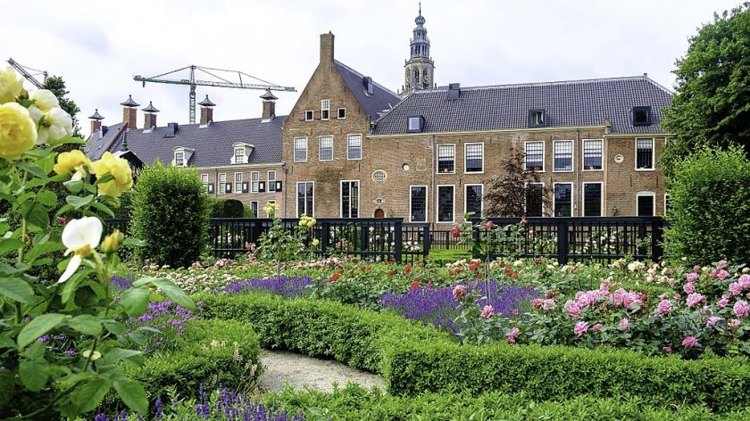Overnachten in hotel Prinsenhof in Groningen of wandelen in de tuin