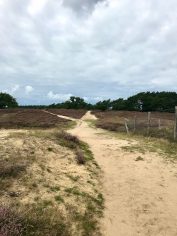 Blaricummerheide