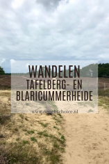Wandelen: Tafelberg- en Blaricummerheide, Blaricum, Het Gooi