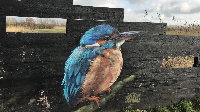 Wandelen over Klompenpad het Stoutenburgerpad vogels spotten Barneveldse Beek en Bloeidaal vogelspotwand