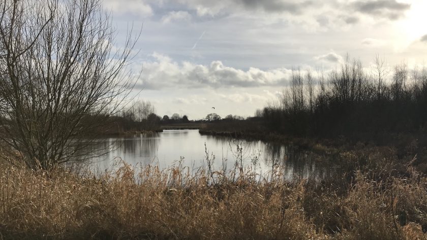 Wandelen Klompenpad het Stoutenburgerpad uitzicht op waterpartij