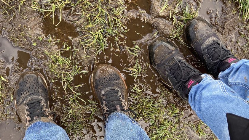 Klompenpad Stoutenburgerpad blubberige paden trotseren met wandelschoenen