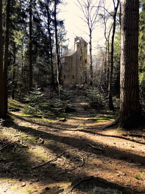 Wolfsdreuvik, Smithuyserbos, Hilversum