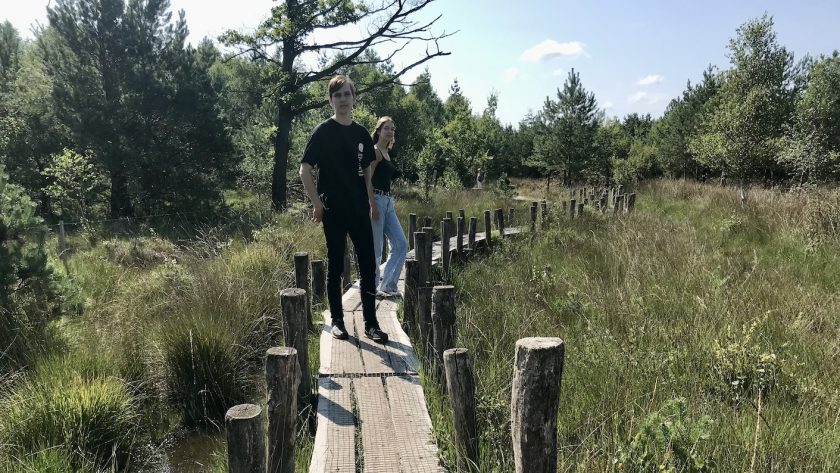 Nationaal Park Dwingelderveld, Neneh's Choice