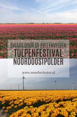 Tulpenfestival