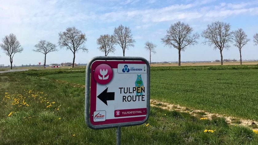 De mooiste tulpenvelden in Nederland - Tulpenfestival Noordoostpolder