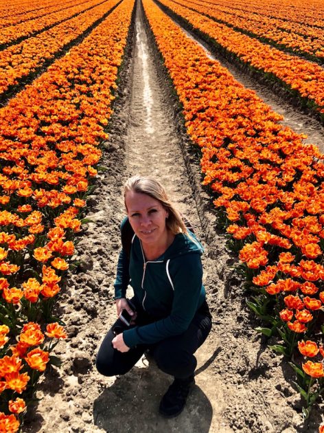 Tulpenvelden Nederland Flevoland Irene
