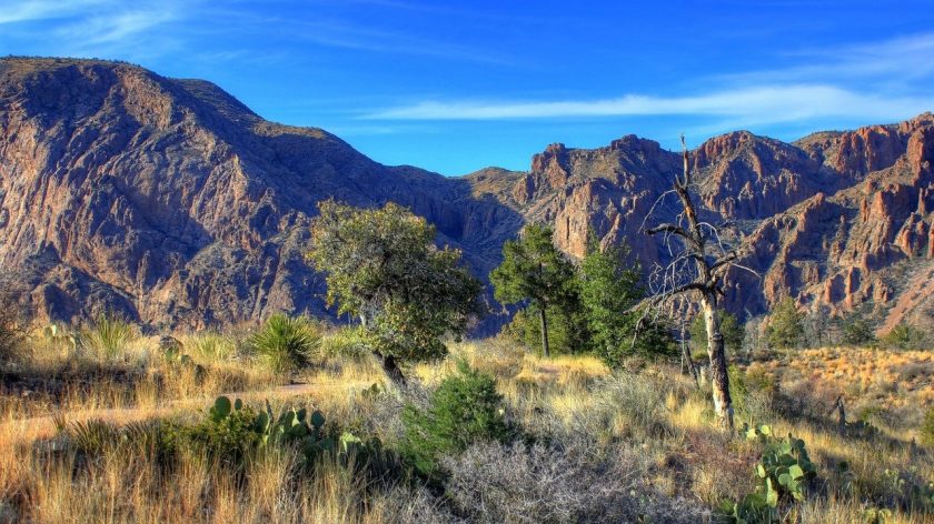 big-bend-national-park-texas, Amerika
