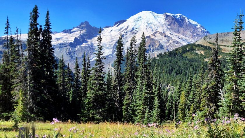 Mount Rainier National Park, Washington, amerika