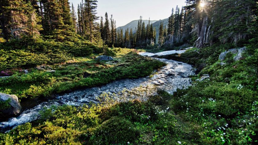 olympic national park washington amerika