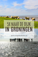 Noordkaap Uithuizermeeden Groningen