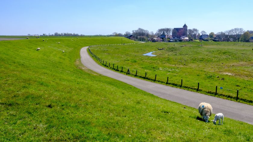 Naar de dijk in Groningen - Termunten