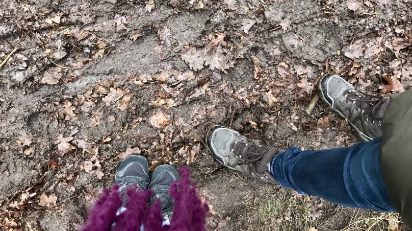 Wandelen: ijzeren veld, bikbergen en crailo, modderpaden