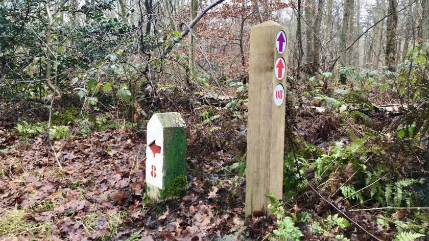 Wandelen: IJzeren Veld, Bikbergen en Crailo, rode paaltjeswandeling