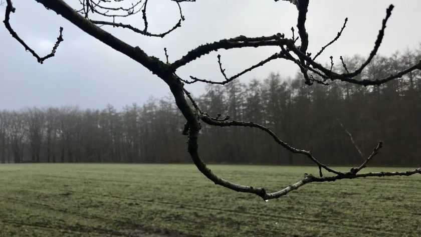 Wandelen: IJzeren Veld, Bikbergen en Crailo