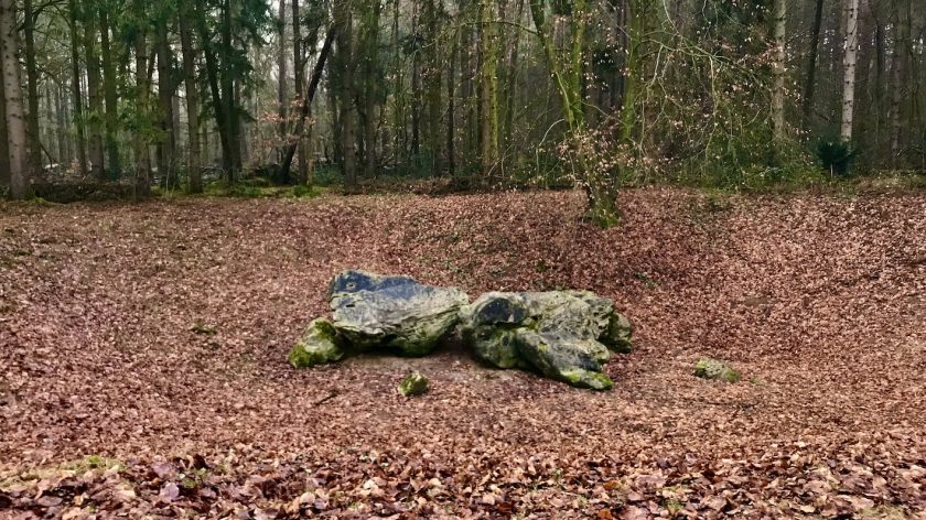 Wandelen: IJzeren Veld, Bikbergen en Crailo, de steen van Bikbergen