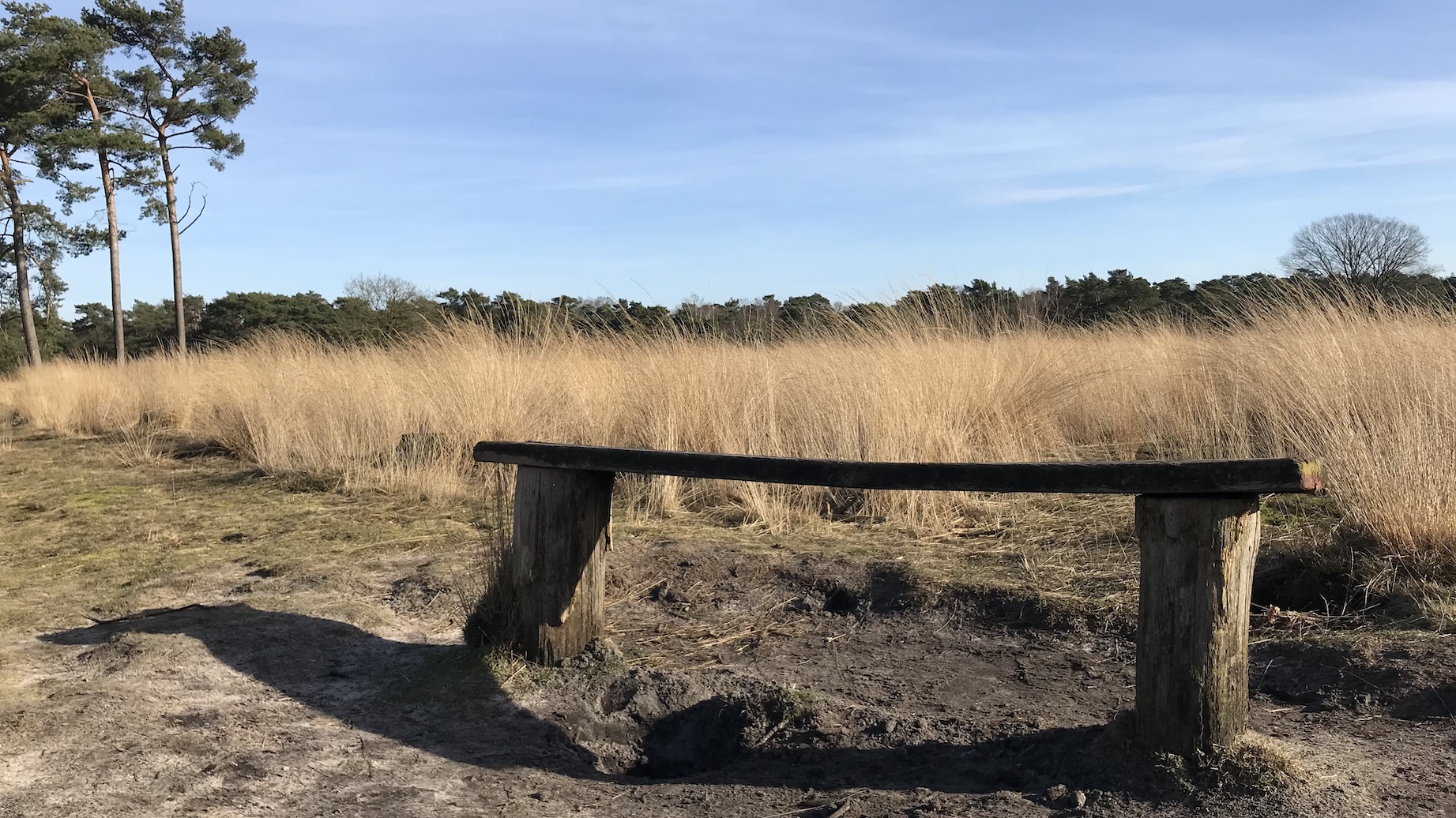 Wandelen Landgoed Den Treek-Henschoten bankje