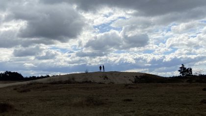 Wandelen op de Veluwe: Planken Wambuis & Valenbergroute bij Otterlo, Mosselse Zand