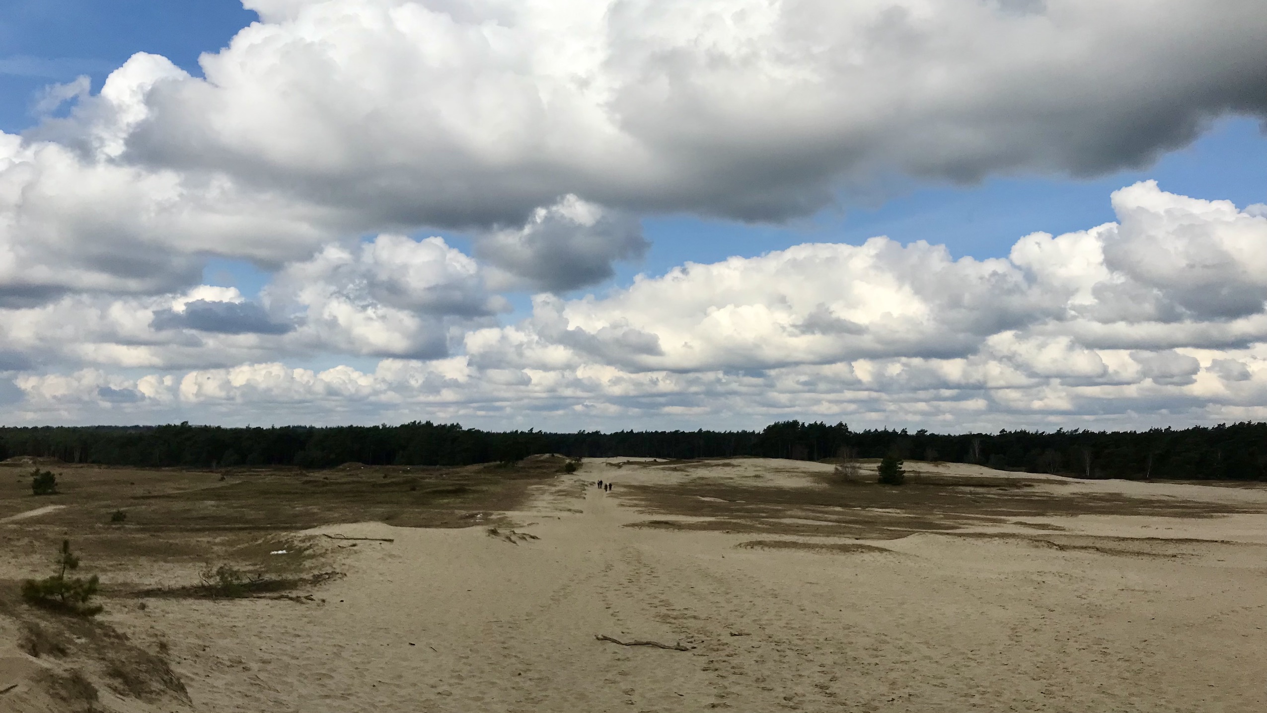 Mosselse Zand, Otterlo