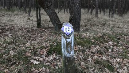 Valenbergroute, Otterlo klompenpad