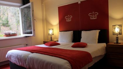 Hotel l'Eau Vive Vresse sur Semois hotel standaard kamer uitzicht natuur