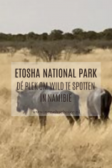 Etosha NP Namibië wildlife