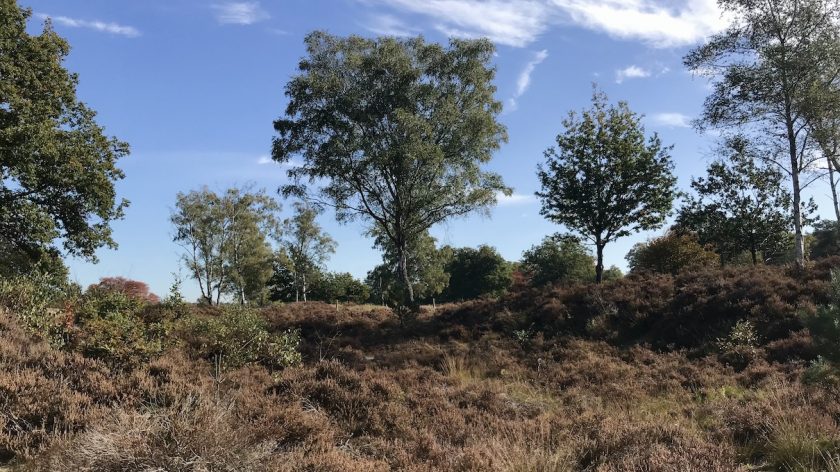 Wandelroute buiten in de kuil heide