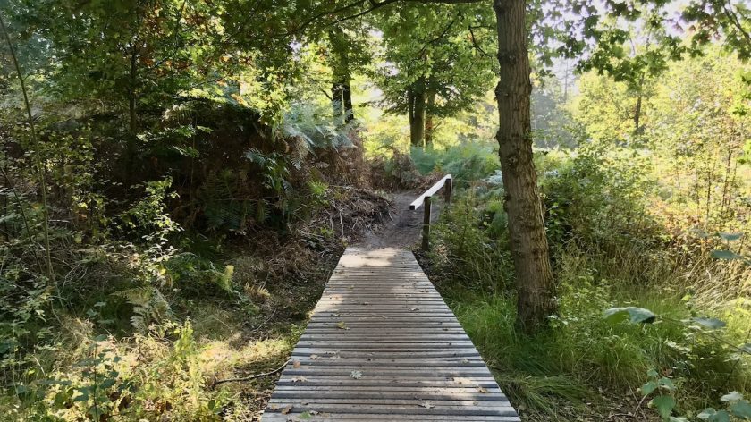 Wandelen buiten in de kuil vlonderpad