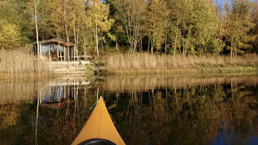 natuurhuisjes in Drenthe: eenvoudige cabin in Odoornerveen