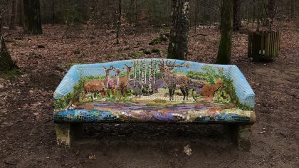 Bankje wandelroute Sprielder- en Speulderbos