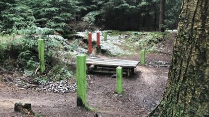 Wandelen Sprielder- en Speulderbos - Onderduikershol Drie