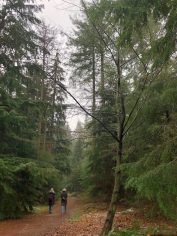 Wandelroute Speulderbos Irene