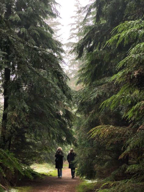 Wandelroute Speulderbos Irene