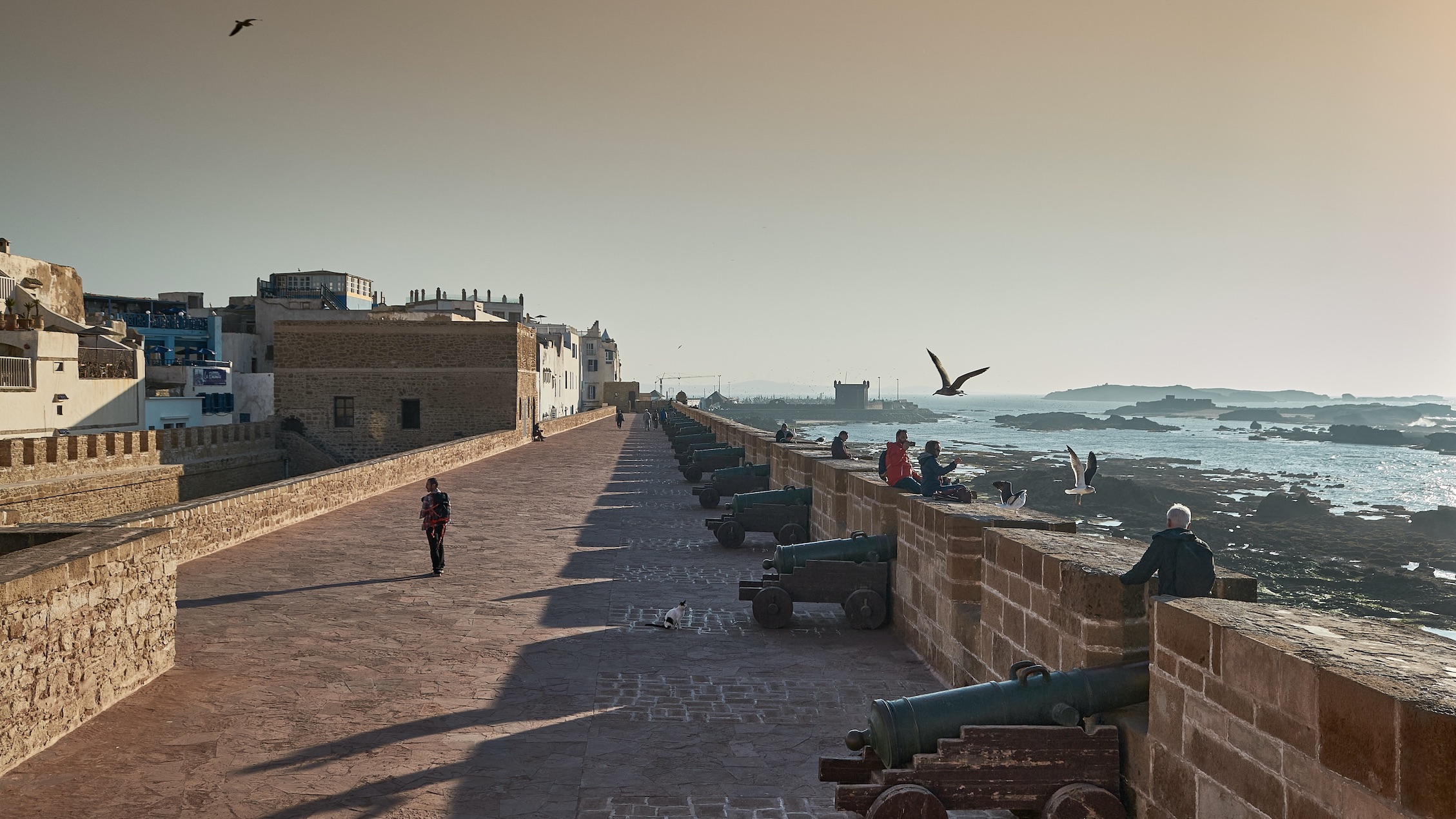 De leukste dagtrips en excursies vanuit Marrakech: Essaouira Marokko oceaan