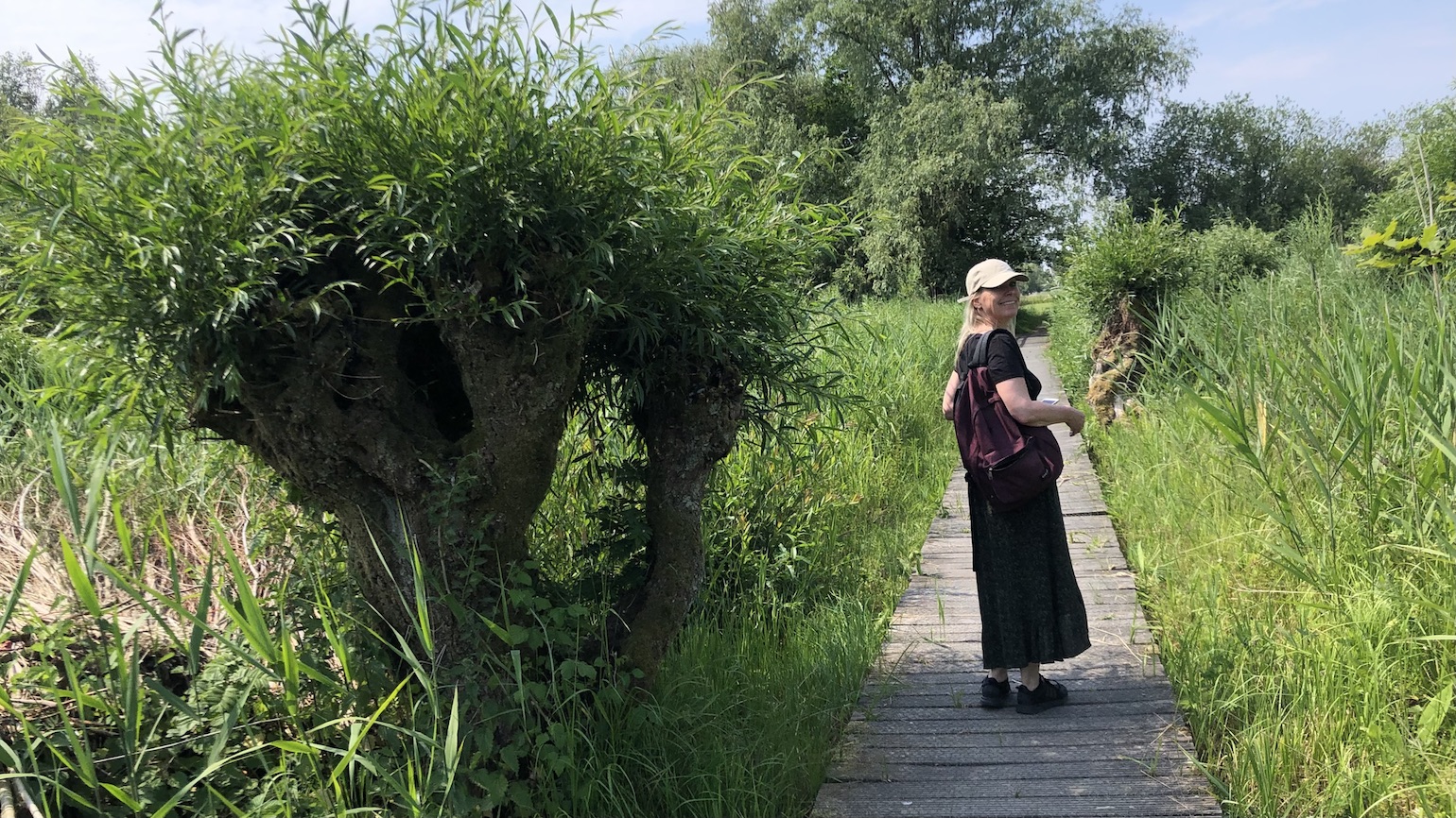 Wandelen Klompenpad Rhenoijschepad vlonderpad Irene